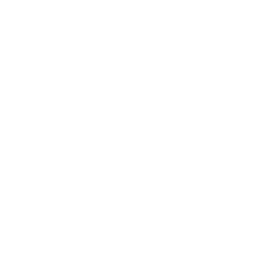 Bomb Seeds