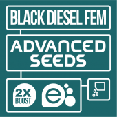 Black Diesel