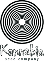 Kannabia Seeds