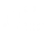 Auto Seeds