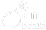 Bomb Seeds