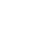 The Cali Connection