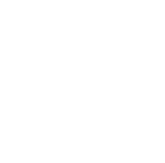 Vision Seeds