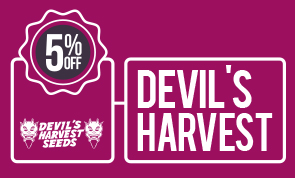 Devil's Harvest 5% Off
